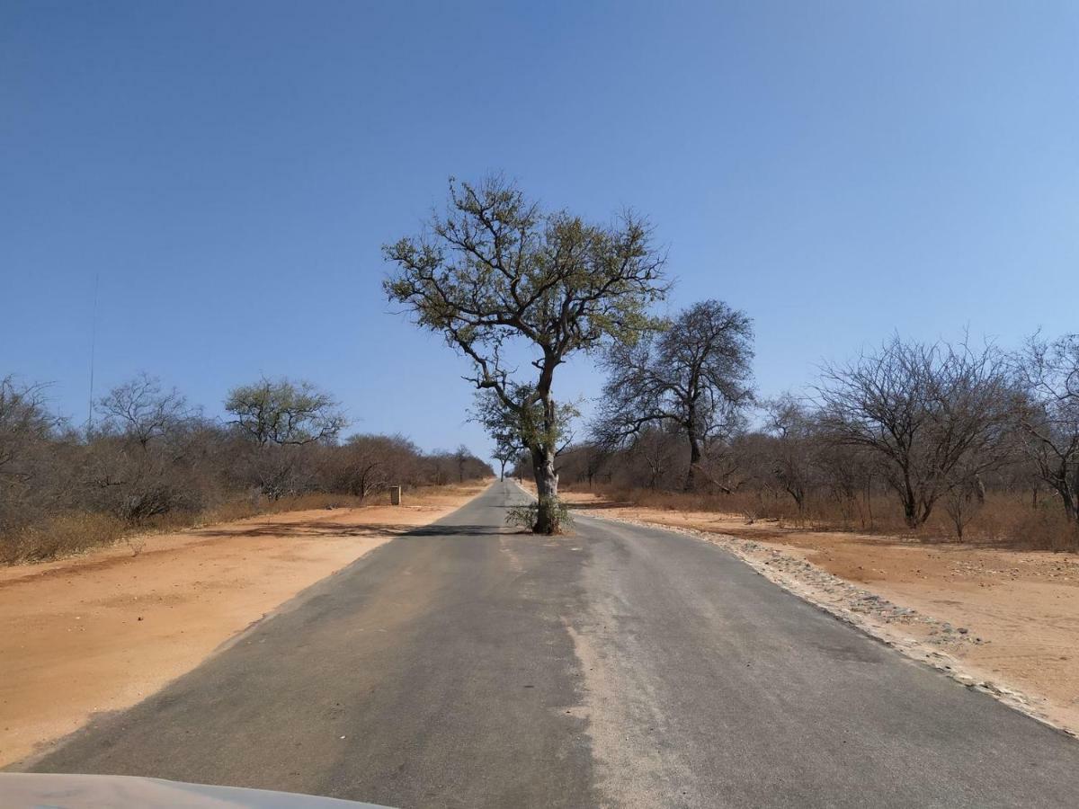 Ukuthula Bush Lodge Hoedspruit Kültér fotó